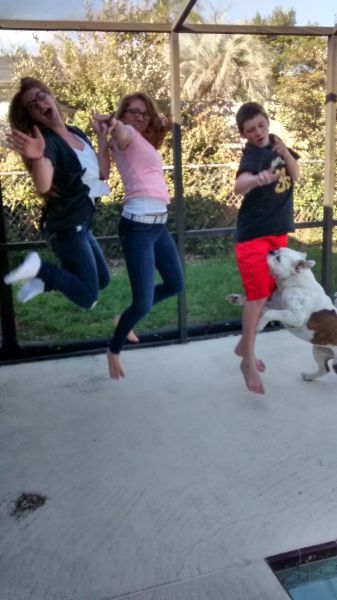 Порция картинок