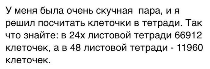 Порция картинок