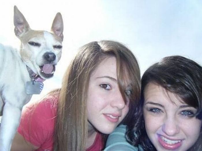 Порция картинок