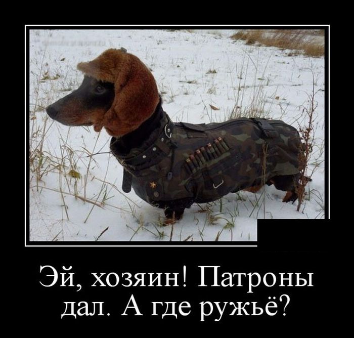Демотиваторы