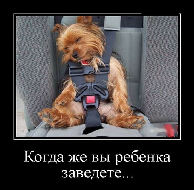 Демотиваторы