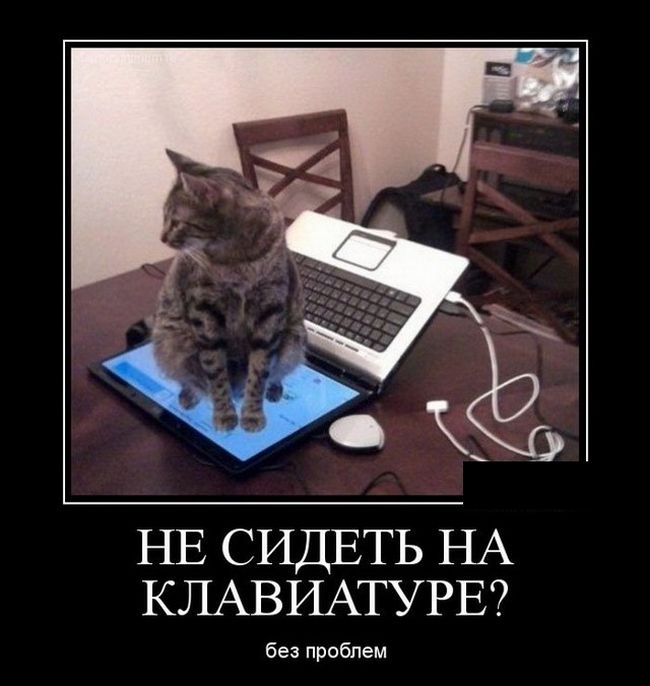 Демотиваторы
