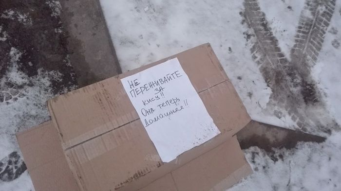 Прикольные картинки