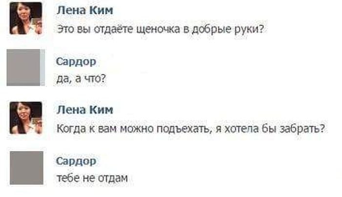 Прикольные картинки