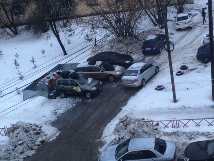 Прикольные картинки