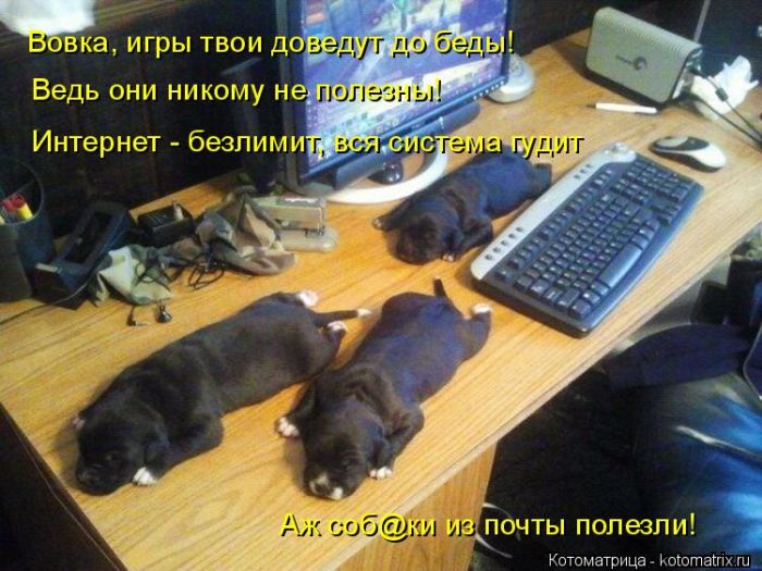 Лучшие котоматрицы недели