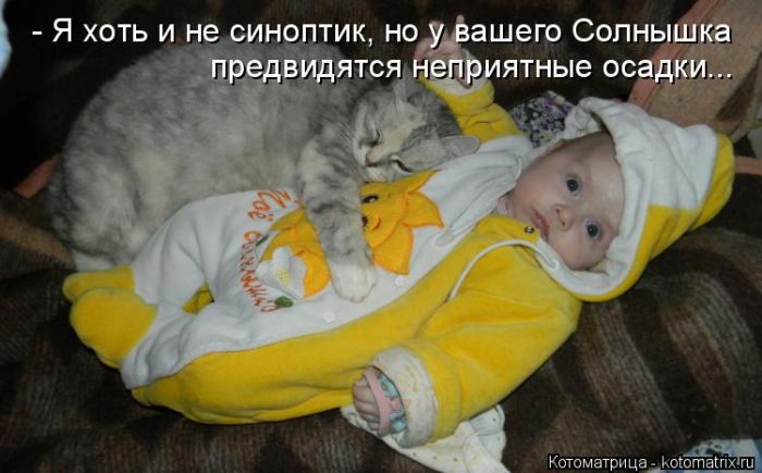 Лучшие котоматрицы недели