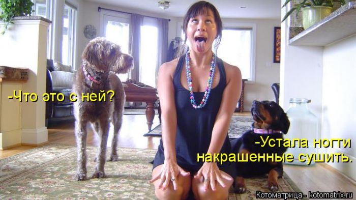 Лучшие котоматрицы недели