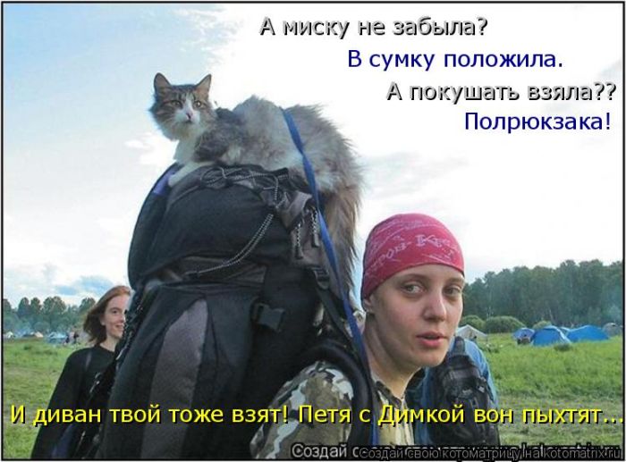 Лучшие котоматрицы недели