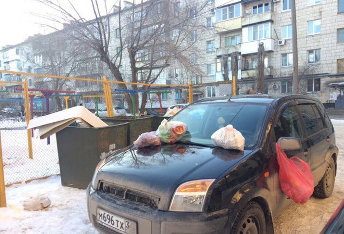 Прикольные картинки