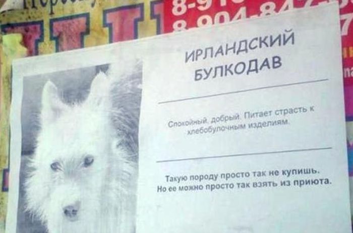 Прикольные картинки