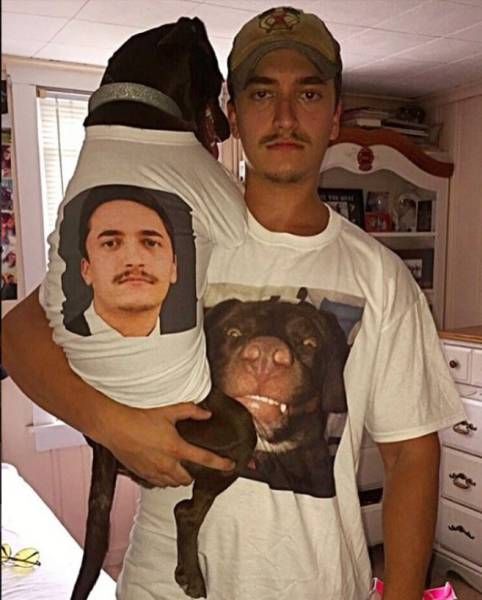 Прикольные картинки