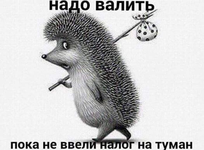Прикольные картинки