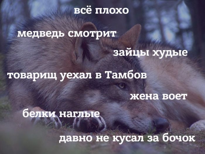 Прикольные картинки