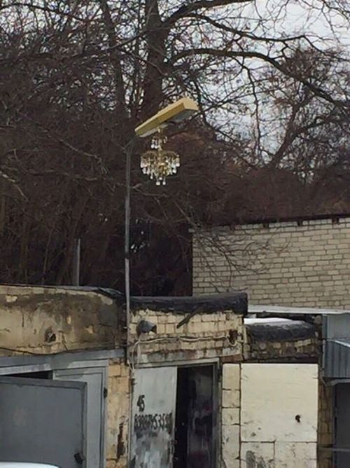 Прикольные картинки