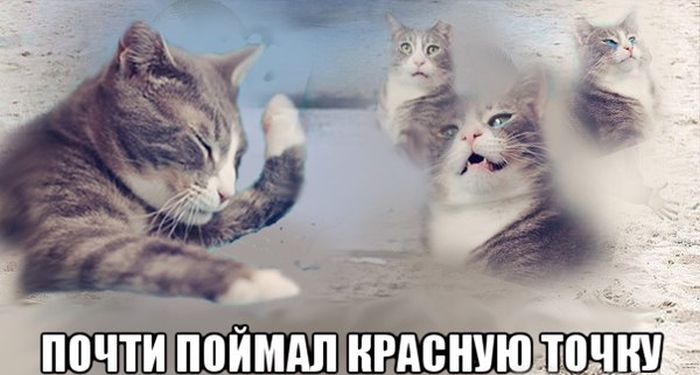 Порция картинок: