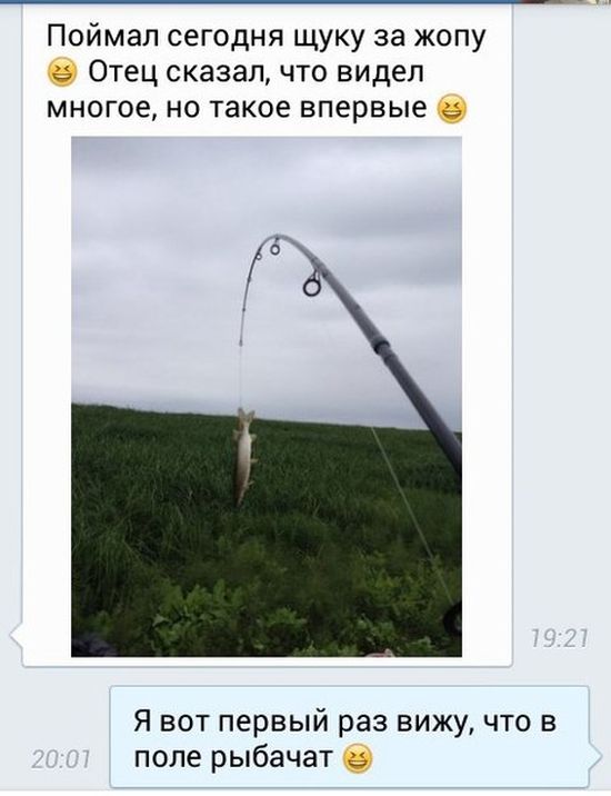 Порция картинок: