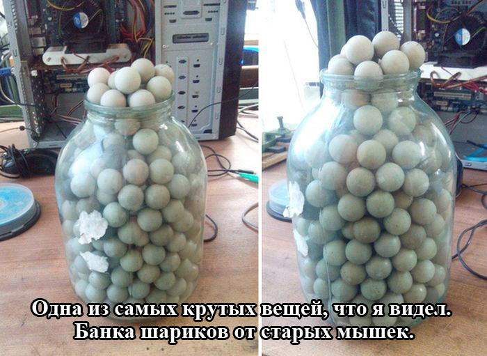 Порция картинок: