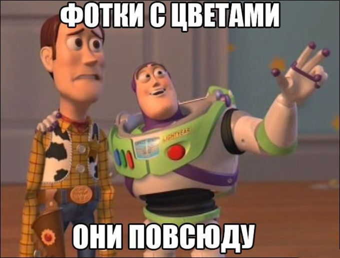 Порция картинок:
