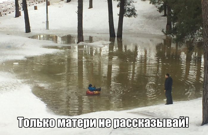 Прикольнные картинки