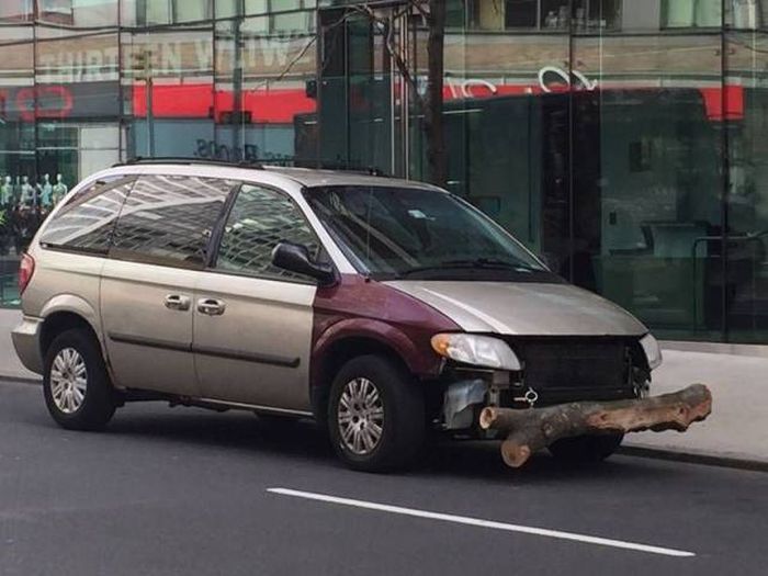 Прикольнные картинки