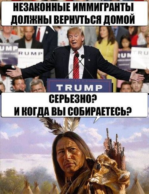 Прикольнные картинки