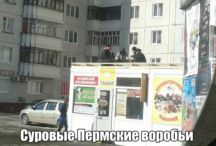 Прикольнные картинки