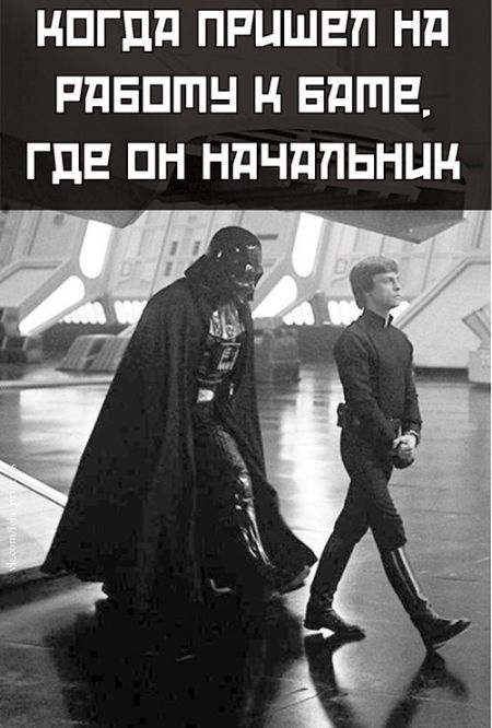 Прикольнные картинки