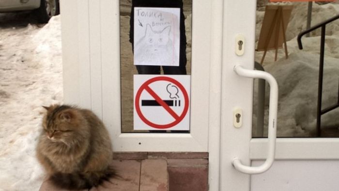 Прикольнные картинки