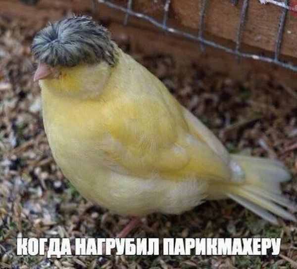 Прикольнные картинки