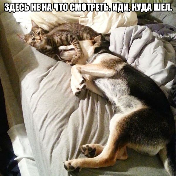 Прикольнные картинки