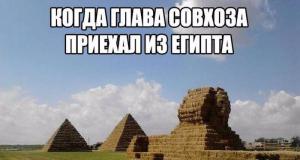 Прикольнные картинки
