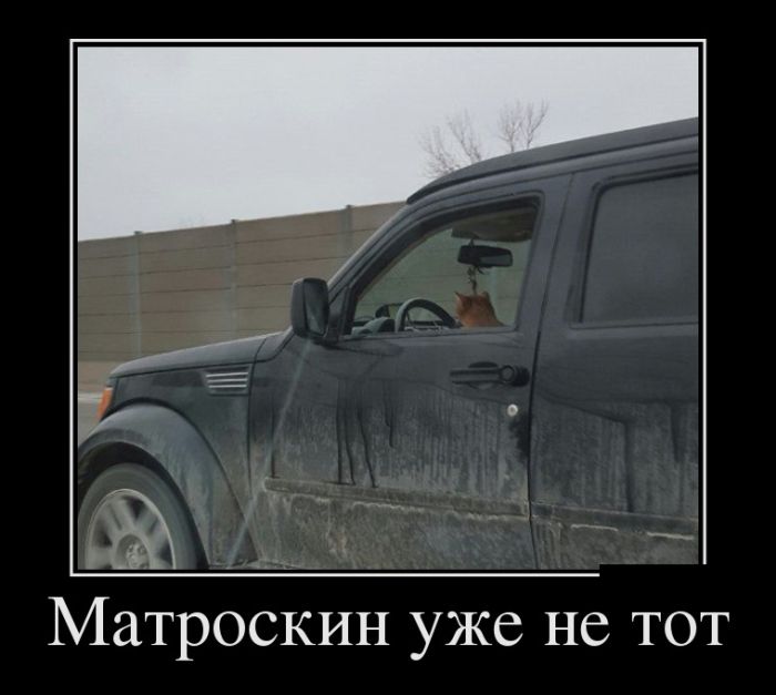 Демотиваторы
