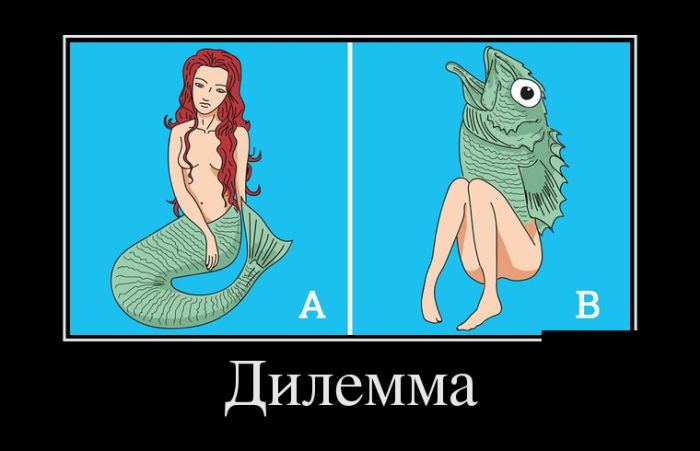 Демотиваторы