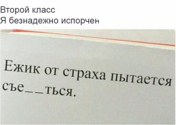 Прикольные картинки