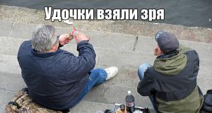 Прикольные картинки