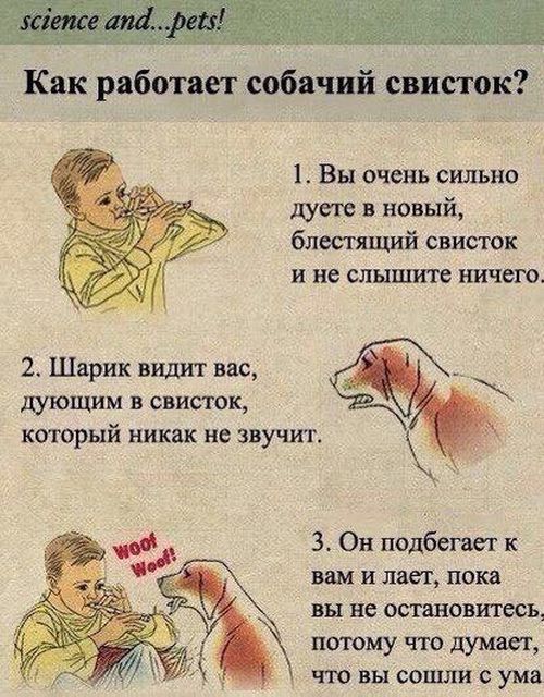 Смешные комиксы
