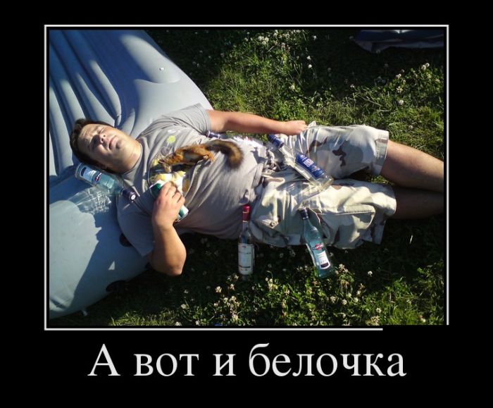 Демотиваторы