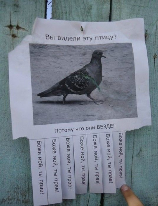 Народные маразмы