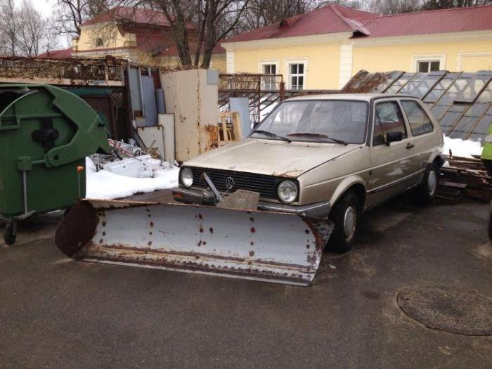 Прикольные картинки