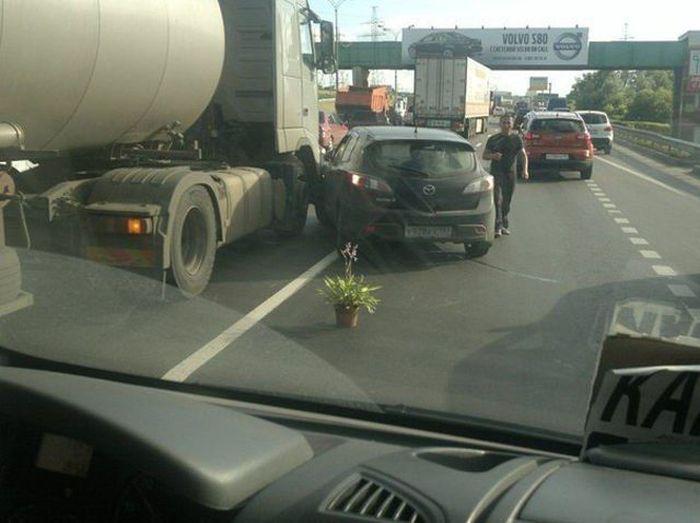 Прикольные картинки