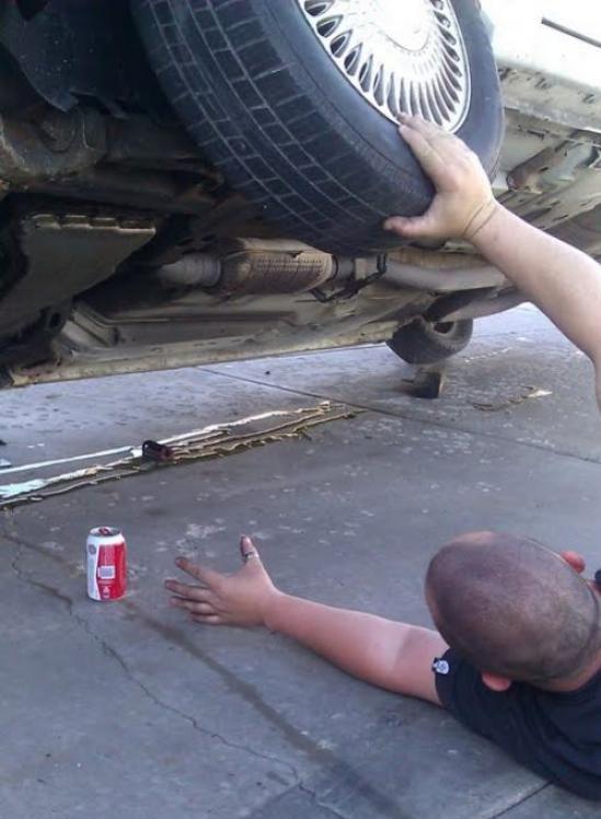 Прикольные картинки