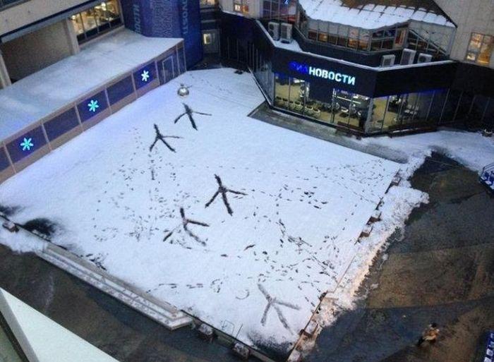 Прикольные картинки