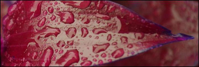 10 самых неожиданных вещей, когда-либо упавших с неба 10 самых неожиданных вещей, когда-либо упавших с неба