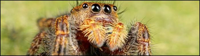 10 самых неожиданных вещей, когда-либо упавших с неба 10 самых неожиданных вещей, когда-либо упавших с неба