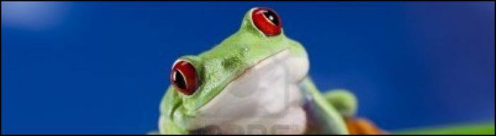 10 самых неожиданных вещей, когда-либо упавших с неба 10 самых неожиданных вещей, когда-либо упавших с неба