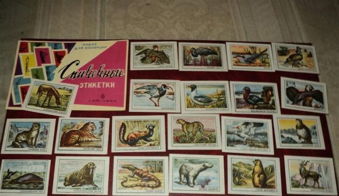 Что собирали в СССР (19 фото)