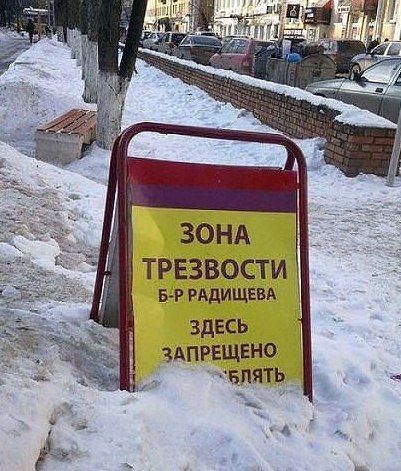 Прикольные картинки (80 фото)