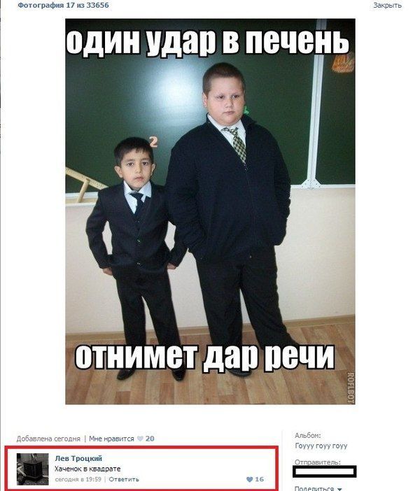 Прикольные картинки (80 фото)