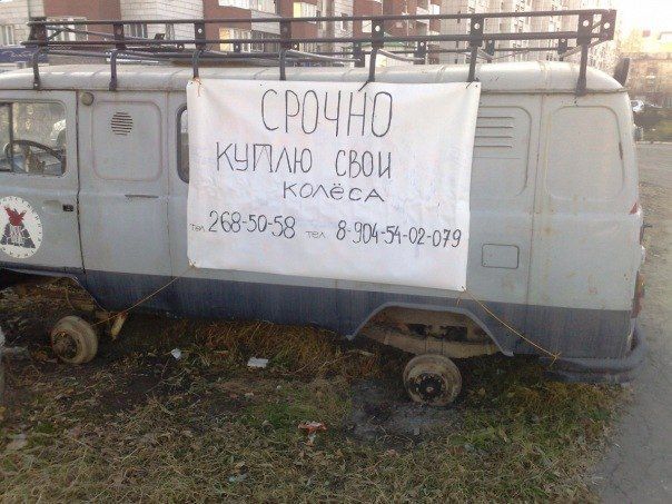 Прикольные картинки (80 фото)